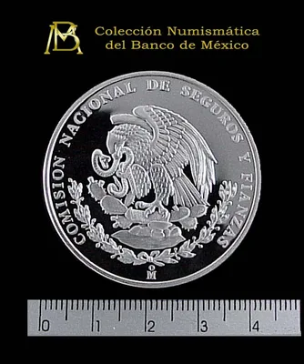 Medalla Comisión Nacional de Seguros y Fianzas (1996)