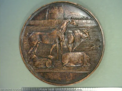 Medalla Concurso Especial de Ganadería en Coyoacán (1895)