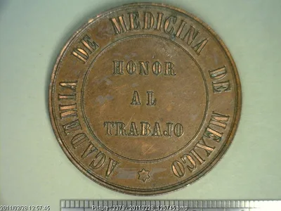 Medalla Contribución al estudio del tifo