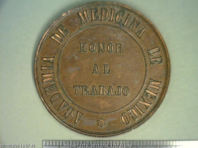 Medalla Contribución al estudio del tifo (anverso)