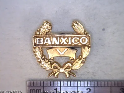 Medalla Distintivo Banxico 5 años y letras grandes