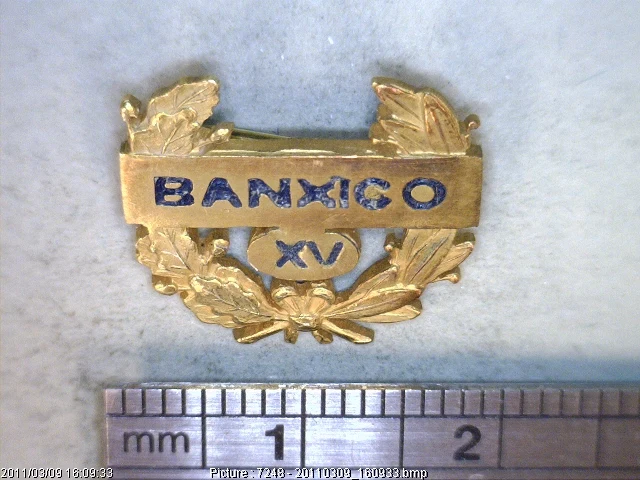 Medalla Distintivo Banxico XV y 18 k (anverso)