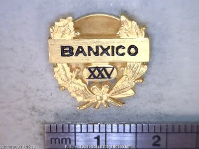 Medalla Distintivo Banxico XXV y 18 k