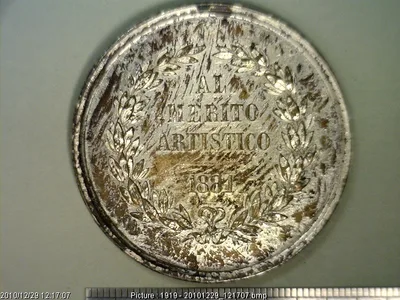 Medalla Exposición Nacional de Bellas Artes. Al mérito (1881)