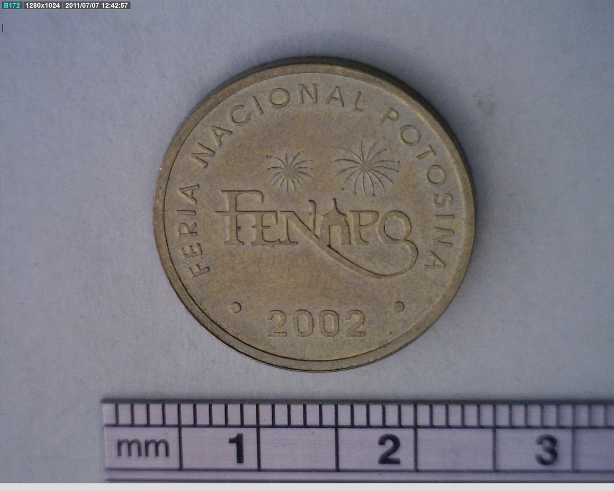 Medalla Feria Nacional Potosina (2002) (anverso)