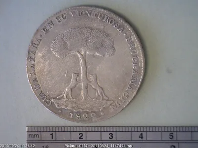 Medalla Guadalajara. Agustín I (1822)