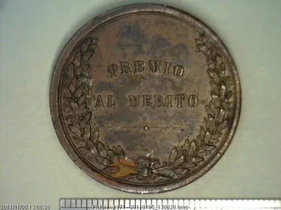 Medalla Guadalajara. Exposición Municipal. Al mérito (1878)