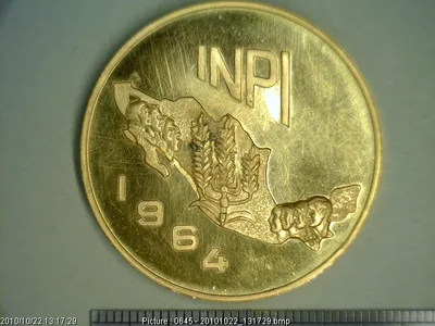 Medalla Instituto Nacional de Protección a la Infancia (1964)