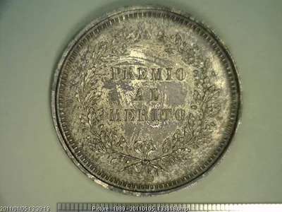Medalla Michoacán. Exposición. Al mérito (1877)
