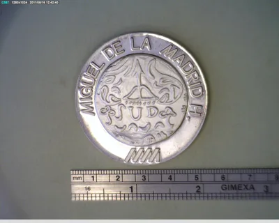 Medalla Miguel de la Madrid / Apatzingan (1981)