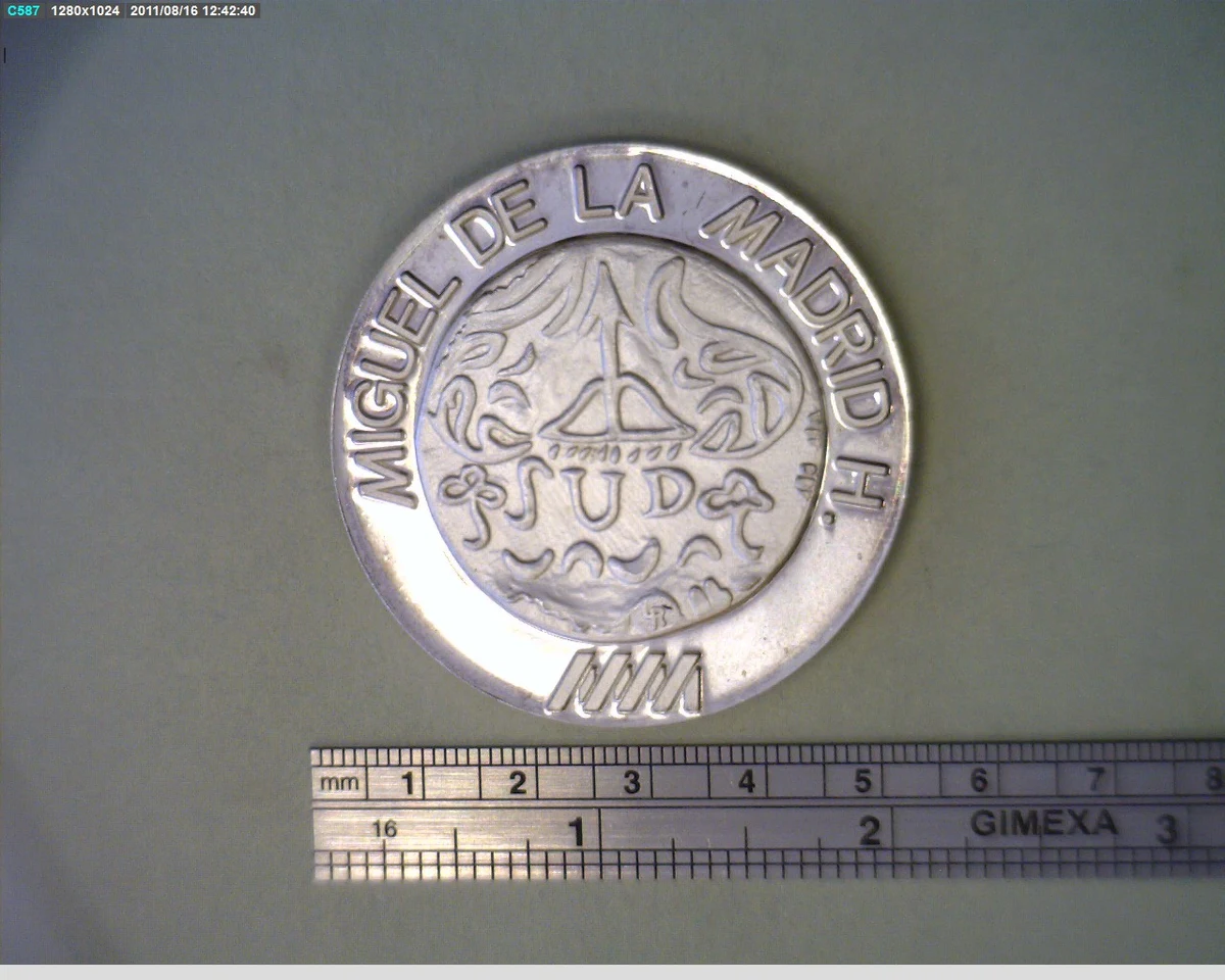 Medalla Miguel de la Madrid / Apatzingan (1981) (anverso)