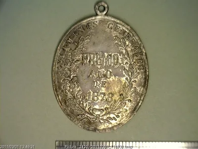 Medalla Premio. 1878. Estado de Veracruz (1878)