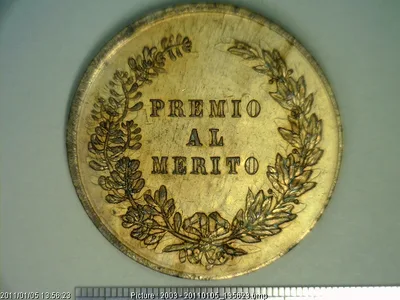 Medalla Puebla. Sociedad Poblana de Artesanos. Al mérito (1880)