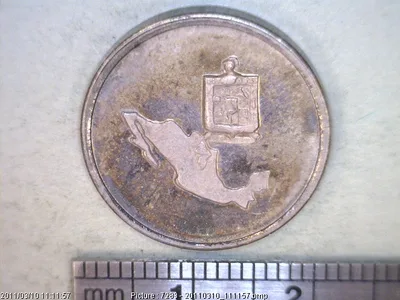 Medalla SHCP / Casa de Moneda. Nuevo León (1980)