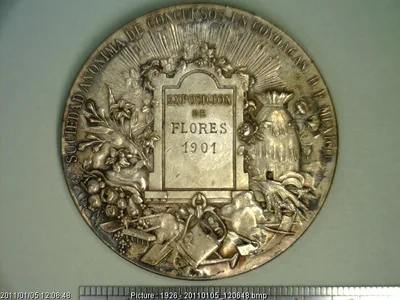 Medalla Sociedad Anónima de Concursos en Coyoacán (1901)