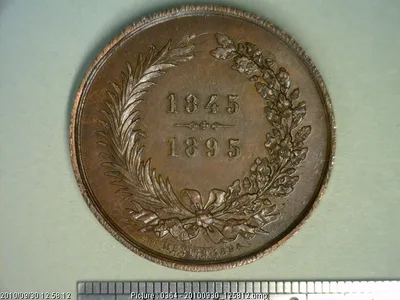 Medalla Sociedad de San Vicente de Paul (1895)