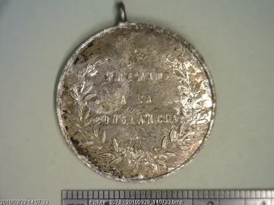 Medalla Sociedad Mutua de Panaderos (1884)