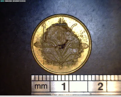 1 Centavos Cobre 1955 (reverso)
