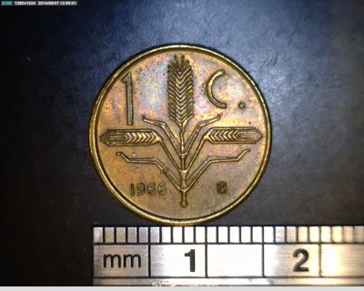 1 Centavos Cobre 1966 (reverso)