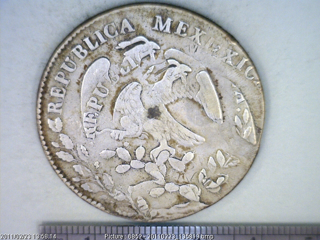 8 Plata 1877 . Inventario Banxico 15226 (anverso)