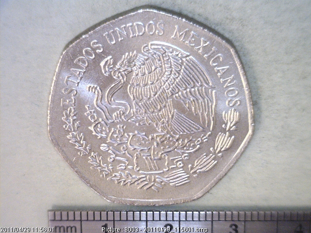 10 Pesos Cuproníquel 1981 (anverso)