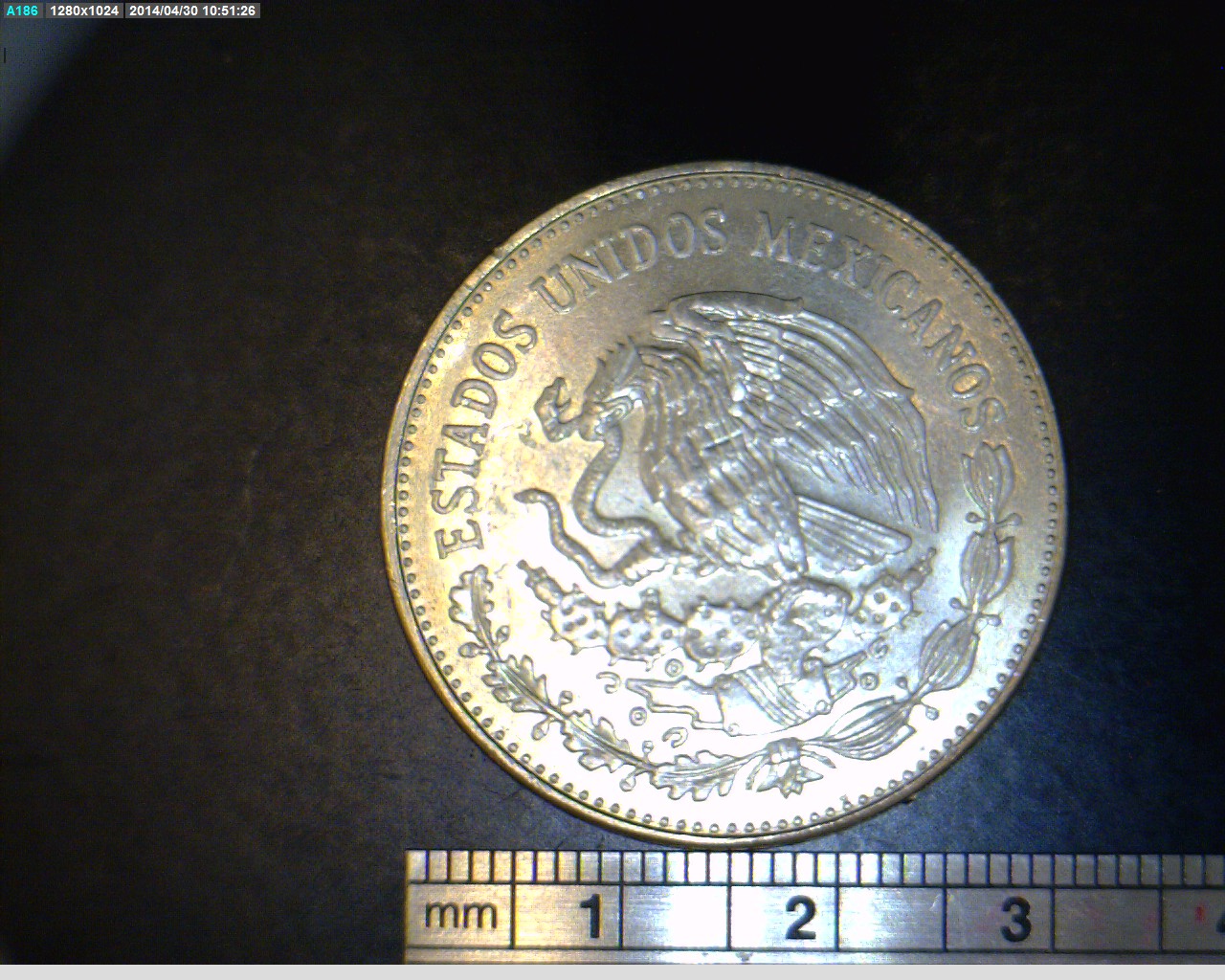 20 Pesos Cuproníquel 1981 (anverso)
