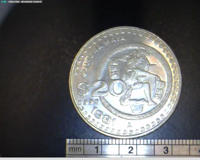 20 Pesos Cuproníquel 1981 (reverso)