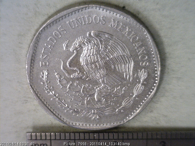 5 Pesos Cuproníquel 1981 (anverso)
