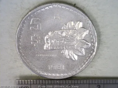 5 Pesos Cuproníquel 1981 (reverso)