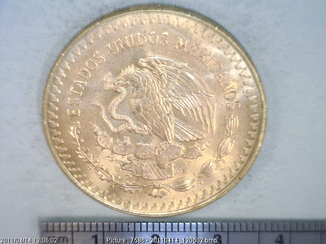 1 oz Libertad Oro 1981 · Inventario Banxico 15863 (anverso)