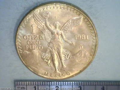 1 Onza Libertad Oro 1981