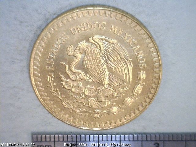 1/2 oz Libertad Oro 1981 · Inventario Banxico 15867 (anverso)