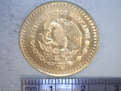 1/4 oz Libertad Oro 1981 · Inventario Banxico 15873 (anverso)
