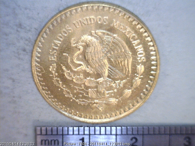 1/4 oz Libertad Oro 1981 · Inventario Banxico 15873 (anverso)