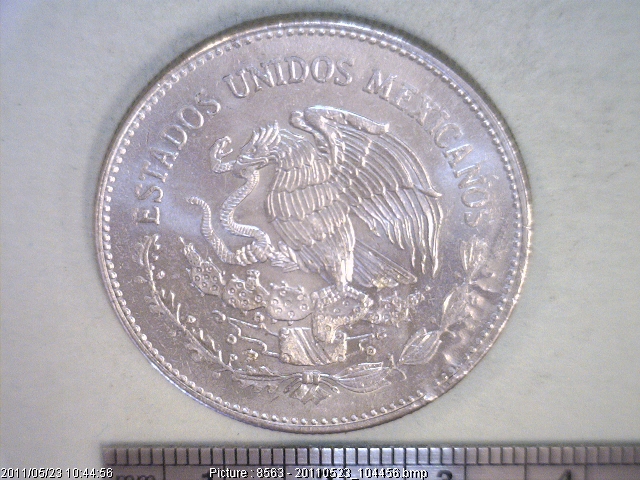 50 Pesos Cuproníquel 1982 (anverso)