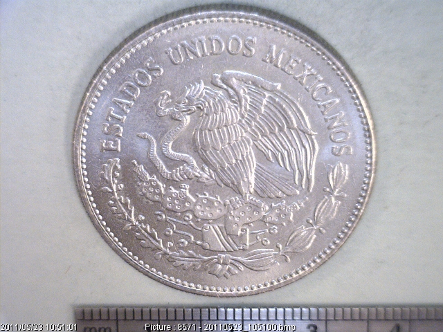 50 Pesos Cuproníquel 1983 (anverso)
