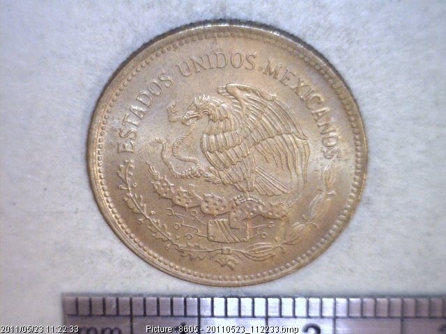 20 Centavos Latón 1983 (anverso)