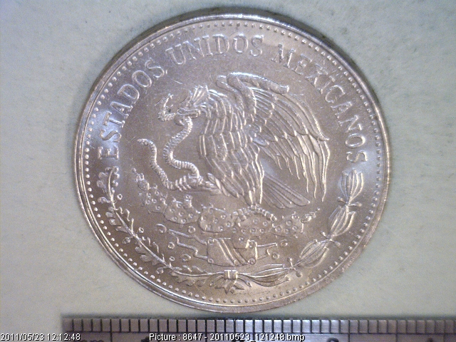 20 Pesos Cuproníquel 1984 (anverso)