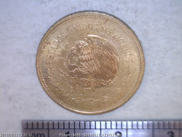 20 Centavos Latón 1984 (anverso)