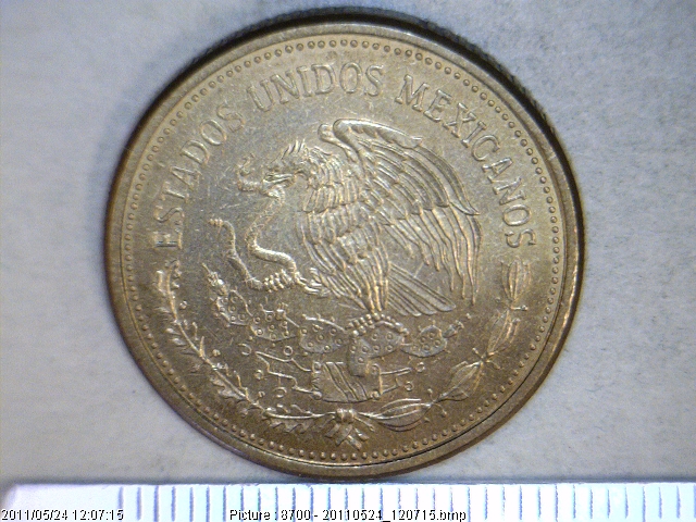 100 Pesos Bronce Aluminio 1984 (anverso)