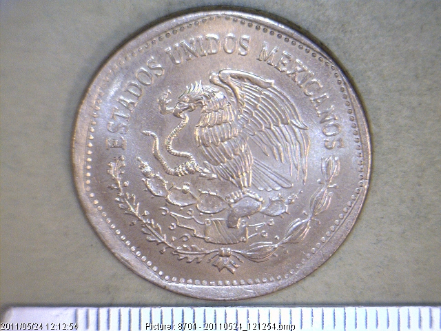 5 Pesos Cuproníquel 1984 (anverso)