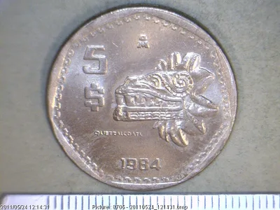 5 Pesos Cuproníquel 1984 (reverso)