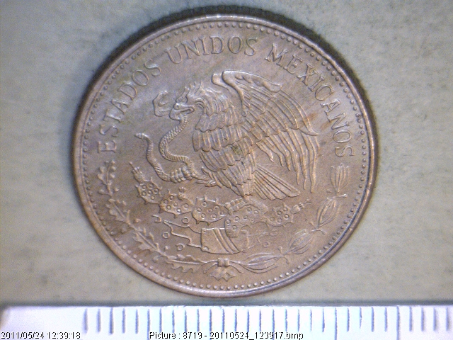 50 Pesos Cuproníquel 1984 (anverso)