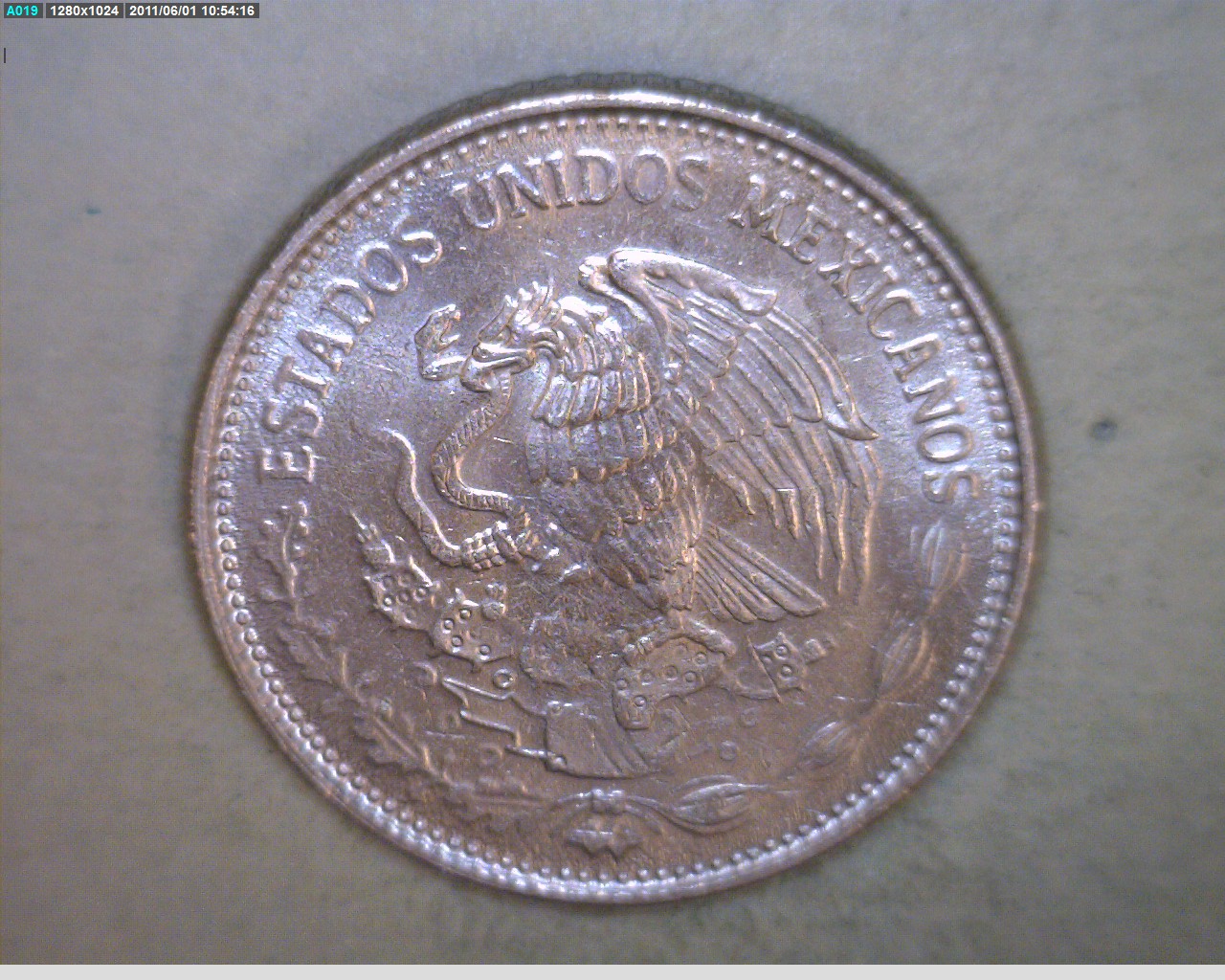 50 Pesos Cuproníquel 1985 (anverso)