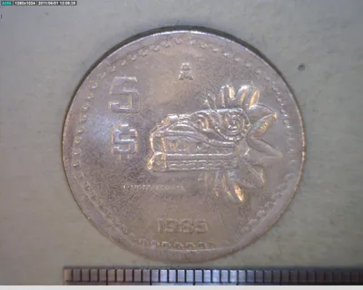5 Pesos Cuproníquel 1985 (reverso)