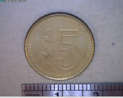 5 Pesos Bronce Aluminio 1985 (reverso)