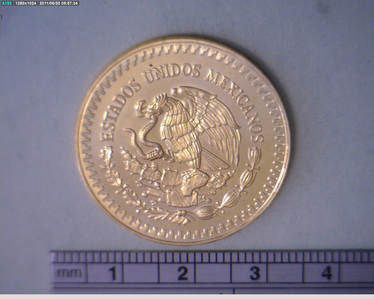 1/2 oz Libertad Oro 1982 · Inventario Banxico 16115 (anverso)