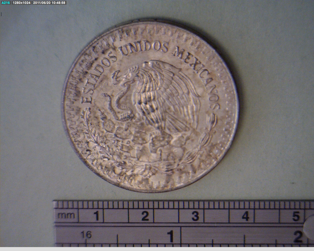 1/2 oz Libertad Plata 1981 · Inventario Banxico 16136 (anverso)