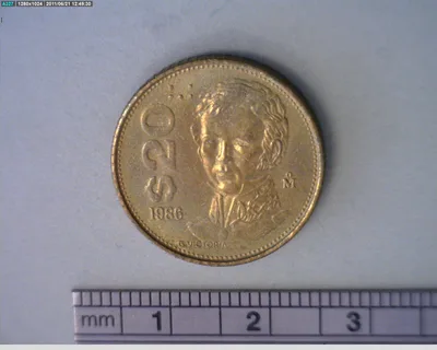 20 Pesos Bronce Aluminio 1986 (reverso)