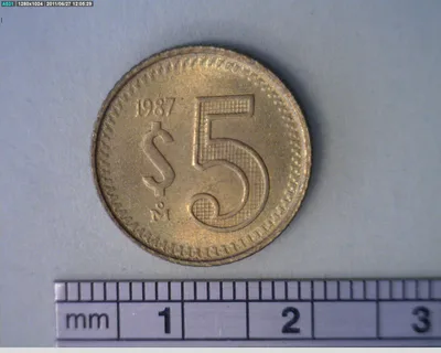 5 Pesos Bronce Aluminio 1987 (reverso)